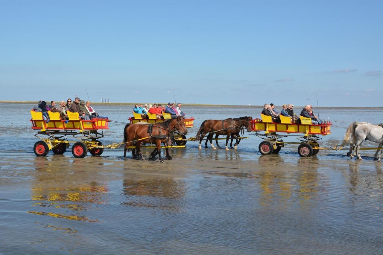 Luettje Huus Frieda Mit Strandkorb Am Strand Von Mai Bis September Cuxhaven Bagian luar foto